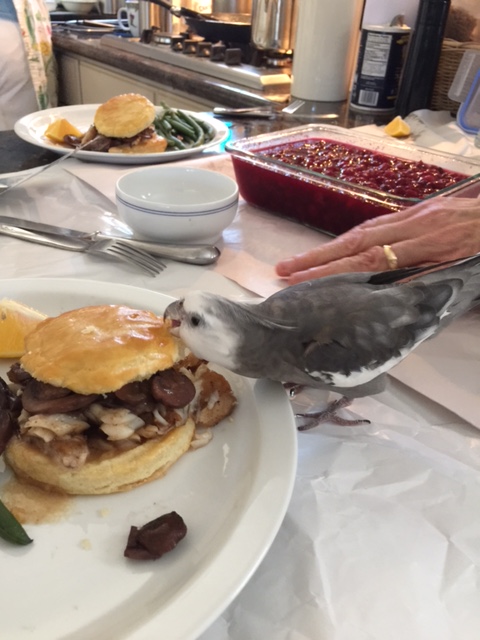 You've outdone yourself this time for sure!