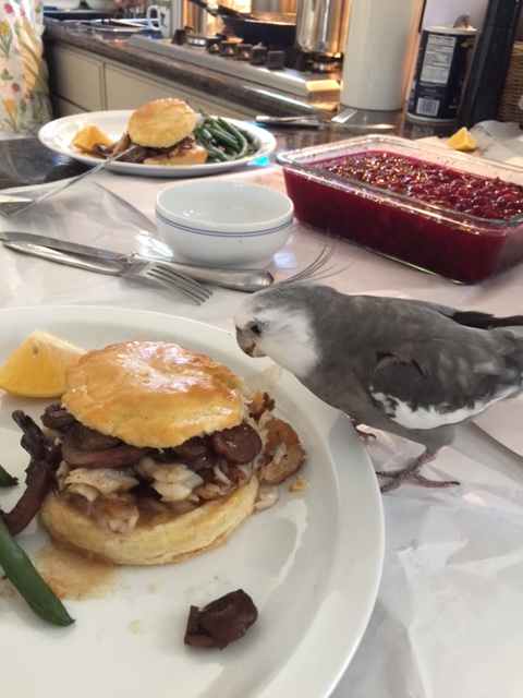 Wow, Grandma! This looks fabulous! 