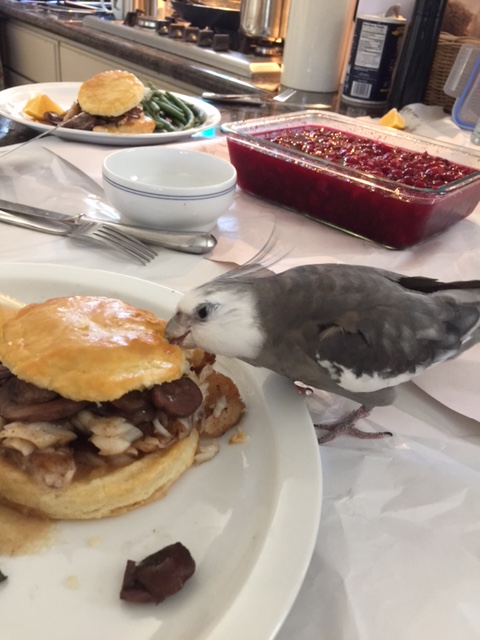 I'll just dig right in.