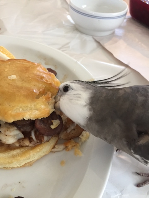 I see you, Mom - I said "photo," not "fork!"