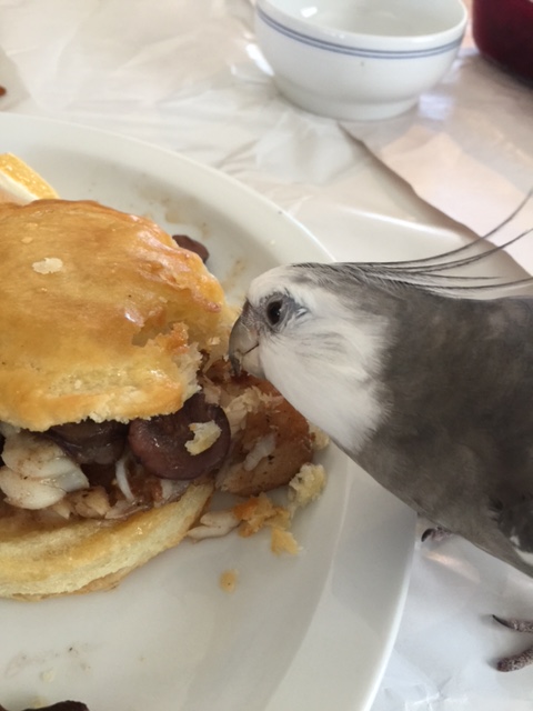 Mom, go ahead and take a photo of me "with dish" as a special "thank you" gift to the Small Chef.