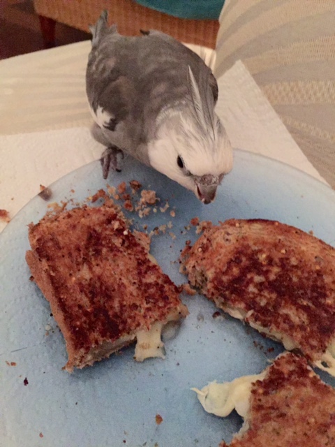 It's okay - we all forget sometimes.