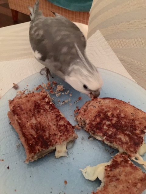 We will keep training until you can remember all the steps in order - no problem.