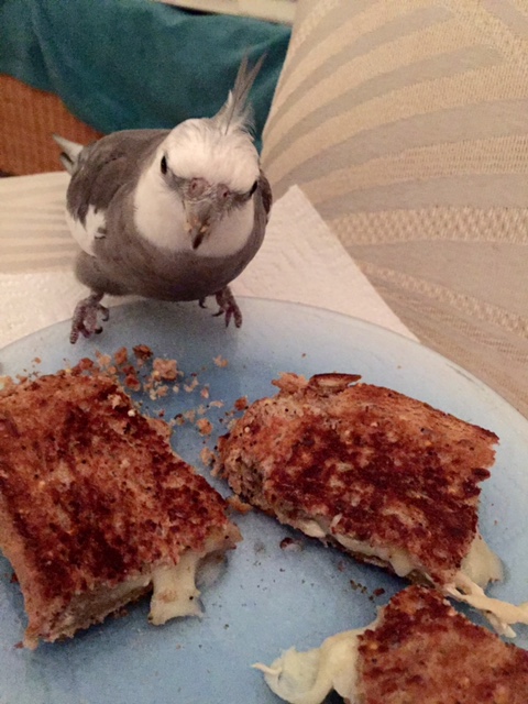 Easy, right? Now you try it!