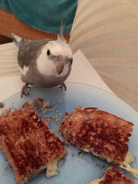 Mom? Did you forget something?