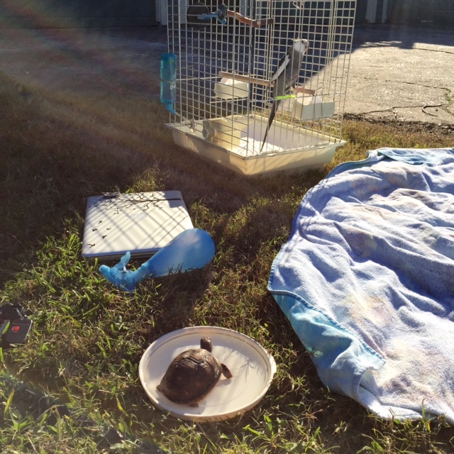 And you are right - the lawn is quite large so we can each have our own space.