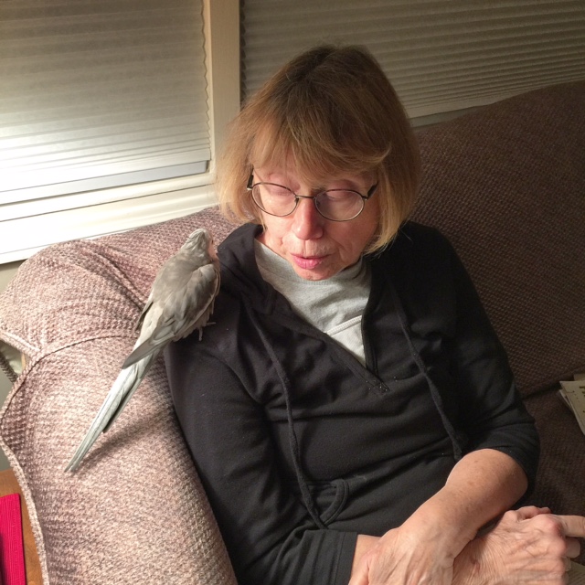 I know, Grandma! It was SO awful. But then I bit her so hard....check out my right wing and you'll see her blood on my feathers!