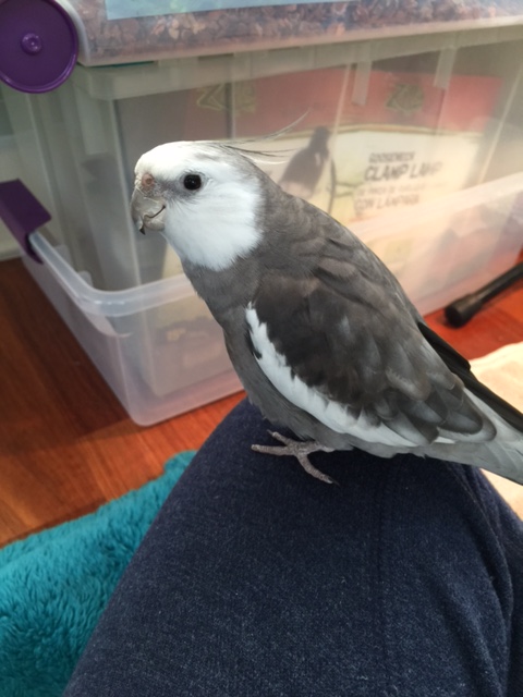 Are you getting all this, Mom?