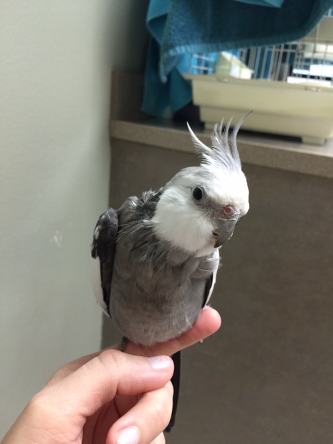 Oh good lord, not this again. Mom!!