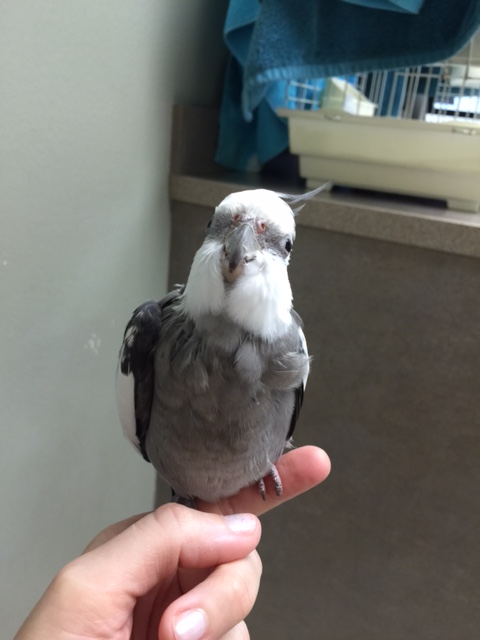 Did that look fun to you, Mom? I didn't think it was fun at all!