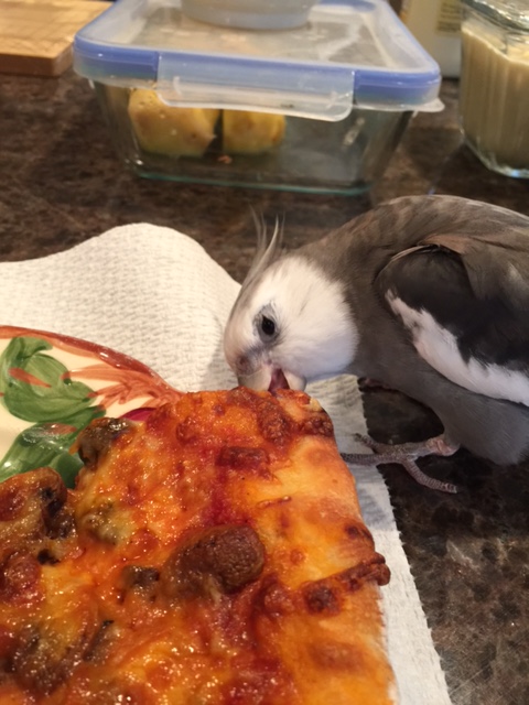 I'll just take them for a test drive.