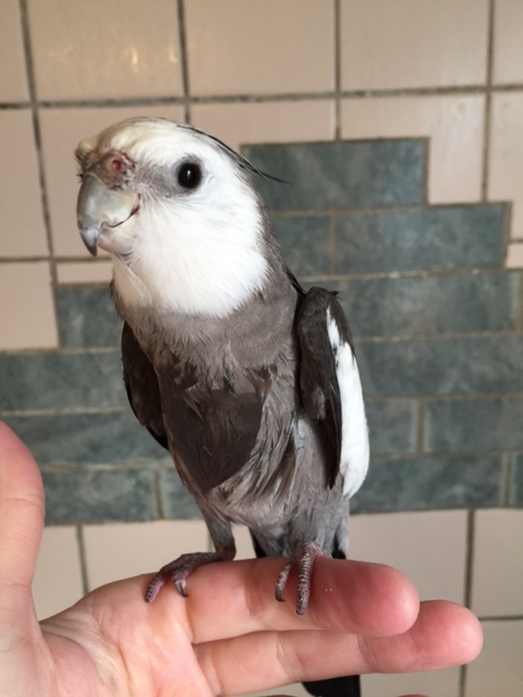 Mom, how exactly did your shower turn into my shower?