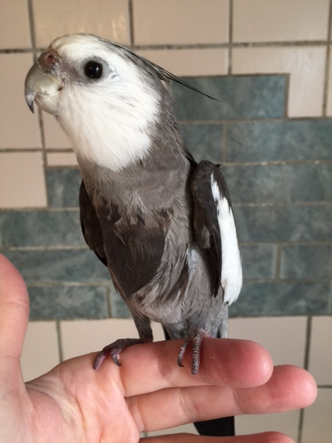 Well I know I look very cute right now (duh) but this wasn't on my calendar for today.