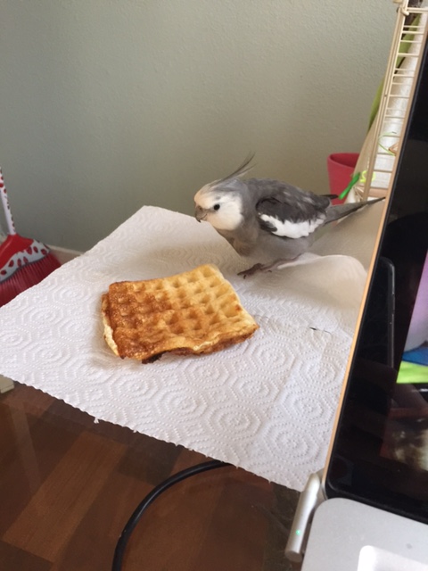 And right in the nick of time, I'd say - what took you so long, Mom?