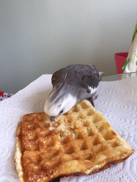 See how this one is really dead after just one bite? Yours still twitch for hours....