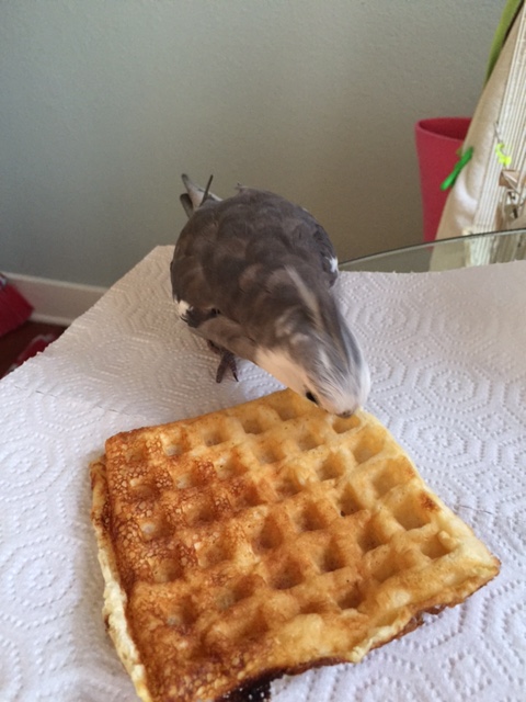 Yes - this is just what I need to keep my strength up.