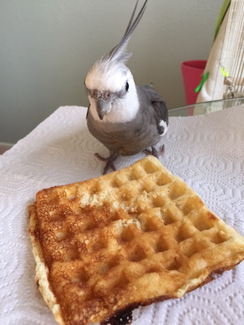 I know it smells delicious....I can't wait to dig in!