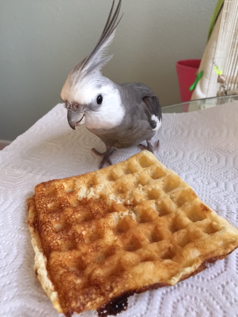 What do you mean, "share?!"