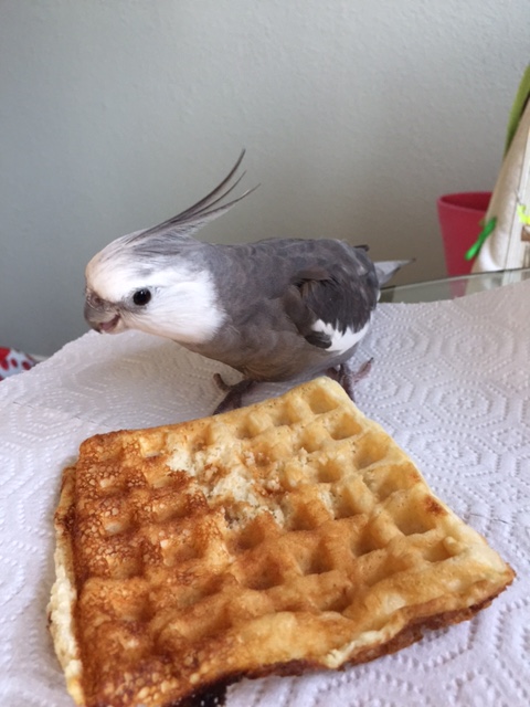 Tell you what, Mom, you can practice on mine after I'm done.