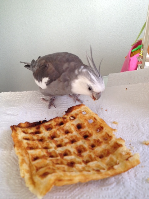 This looks just perfect - warm and toasty the way I prefer it.