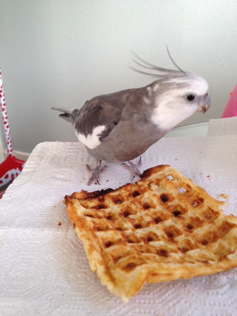 And you - yes, the one with the shell and red dotted feet.