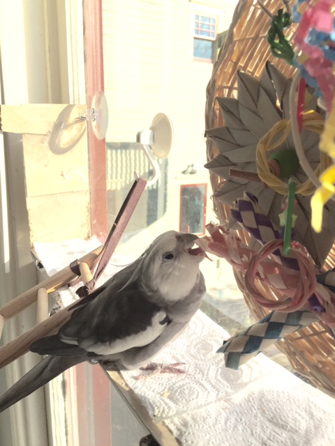 But I can already see where I can make it even better.