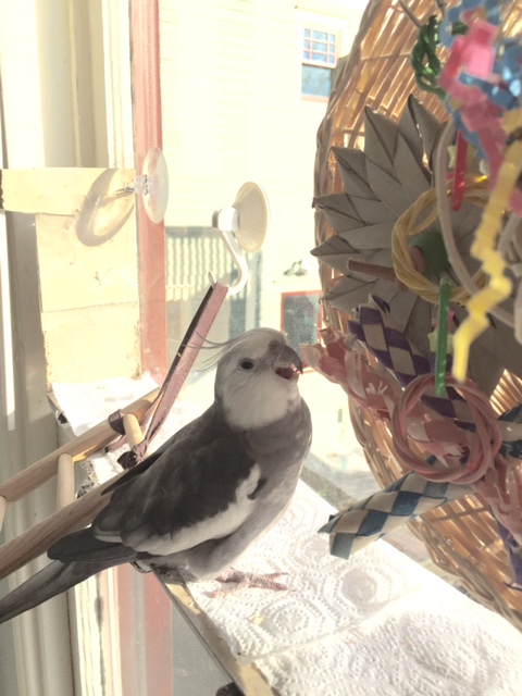 Well this certainly is a very groovy gift! 