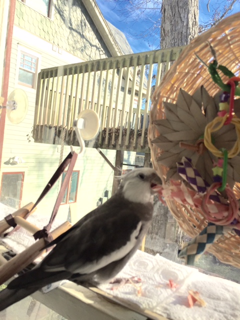 And then I'll take a little more off the top over here.