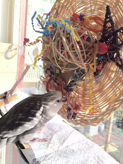 Now I'll do a bit of adjusting here in this center area....