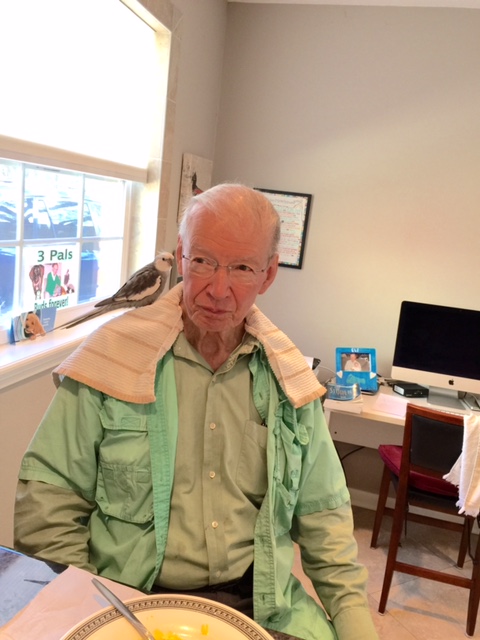 Ahhh. That's it. Now I can digest.