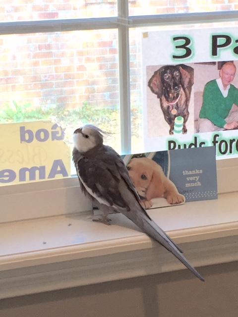 Just a few more nibbles and I'll be done - they have a great selection of aperitifs here at the "Small Chef Bakery."