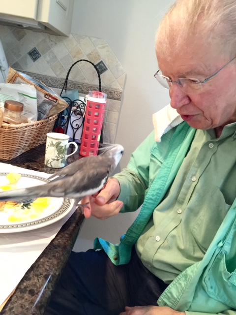 Well, that sure was delicious. I am ready for my first "after brunch" ritual - roosting on the Tall Tree.