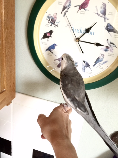 You would like a "home tour," you say? 