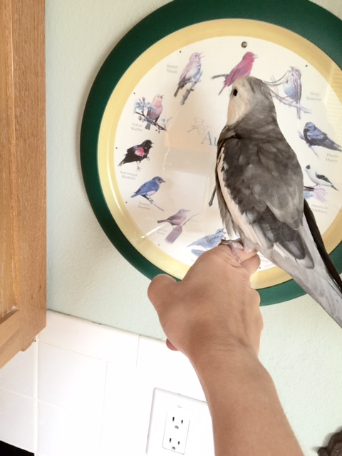 Well if I have to explain what a reservation is, you probably didn't make one.