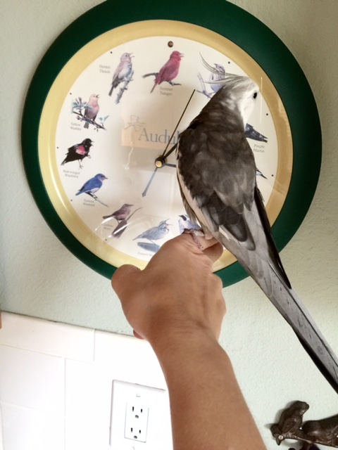 Which one of you booked the reservation? We don't see anything on our calendar.