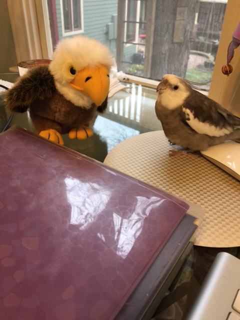 Try one of the Small Chef's waffles? 