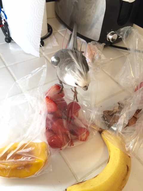 Whoo boy - I see the prize!