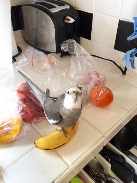 I call "snack break" - for today's snack, I'm thinking of something long and yellow and highly prized....preferably served "en waffle."