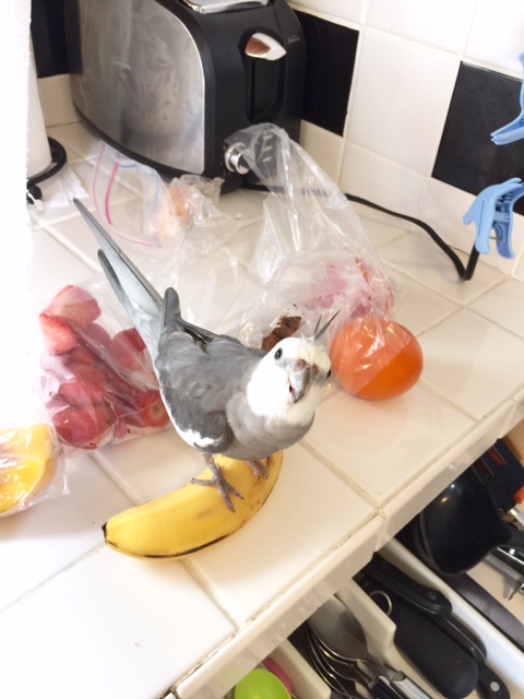 A photo shoot of me with my prize? To inspire other hunters? Sure - that's a great idea!