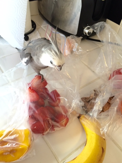 Whoo boy - I spy the prize! I spy the prize!                                                                               