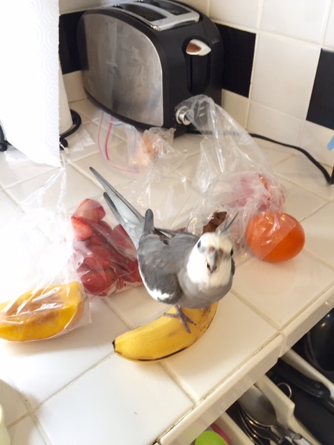 Okay - that's close enough to the prize.