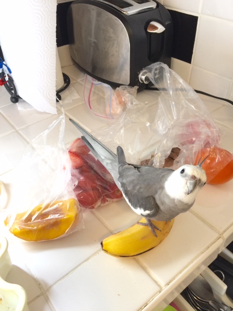 And for this photo we can showcase "more cuteness" + hunting prowess.