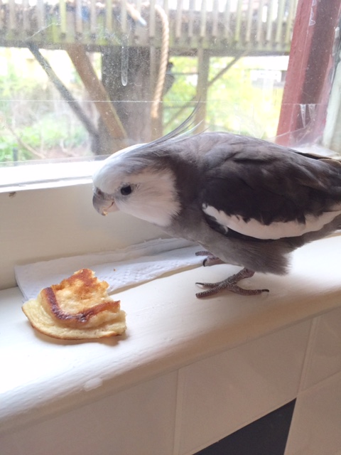 You look very suspicious. I've never had a menu applicant offer themselves as my bribe before.