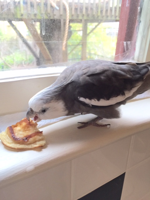 But it is lunch time, and I am hungry, so consider this your lucky day!