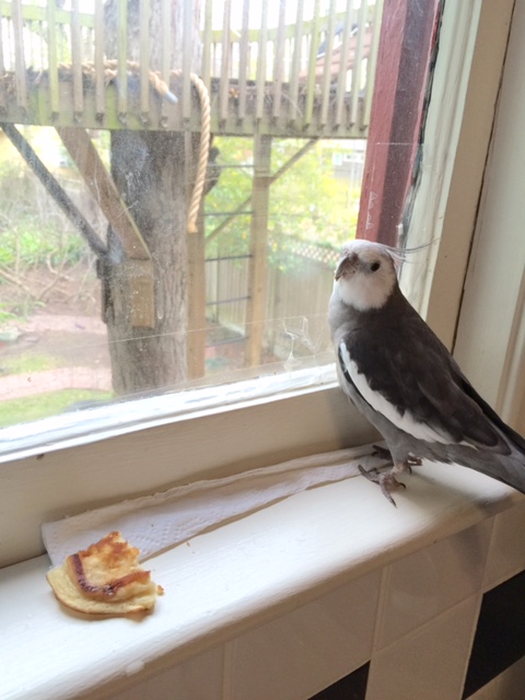 Wait a minute. Who let you in here?