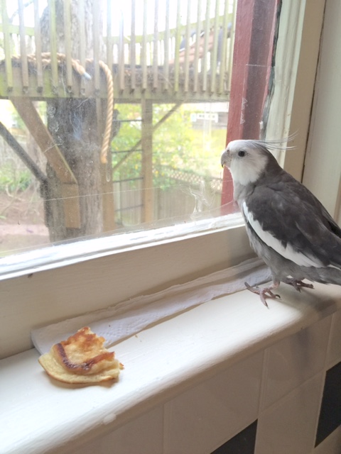 Hum dee dum dum dum. I'm starting to feel kind of hungry. I wonder what will be served for my lunch today.