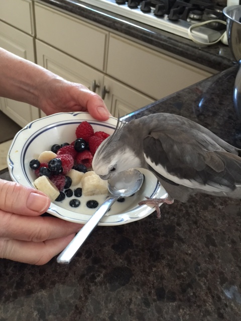 I think the small round blue thing needs a life vest, Grandma - he's not a very good swimmer.
