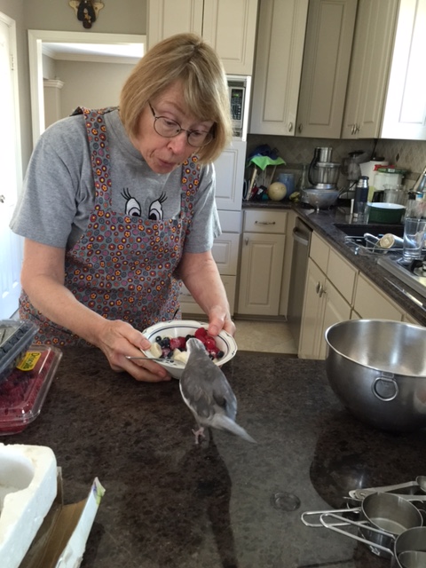 By the way, what are 'berries?'