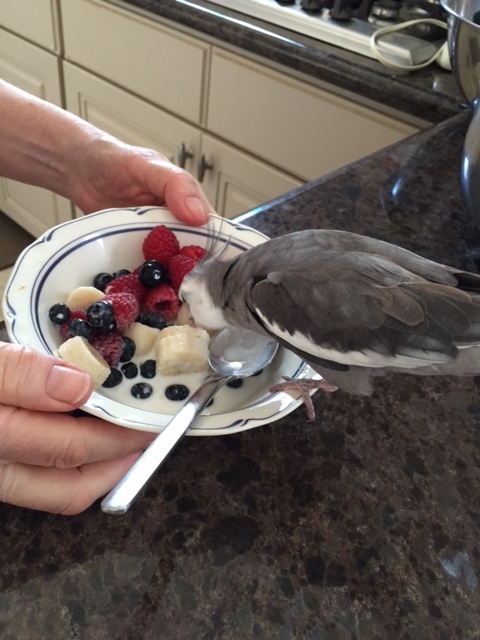 Yup - it sure is banana. I love banana!