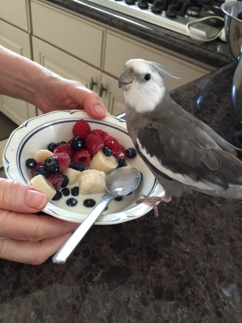 What, Mom? Grandma offered! And it's a good thing I came along too - some of these beings need to stay in the shallow end.